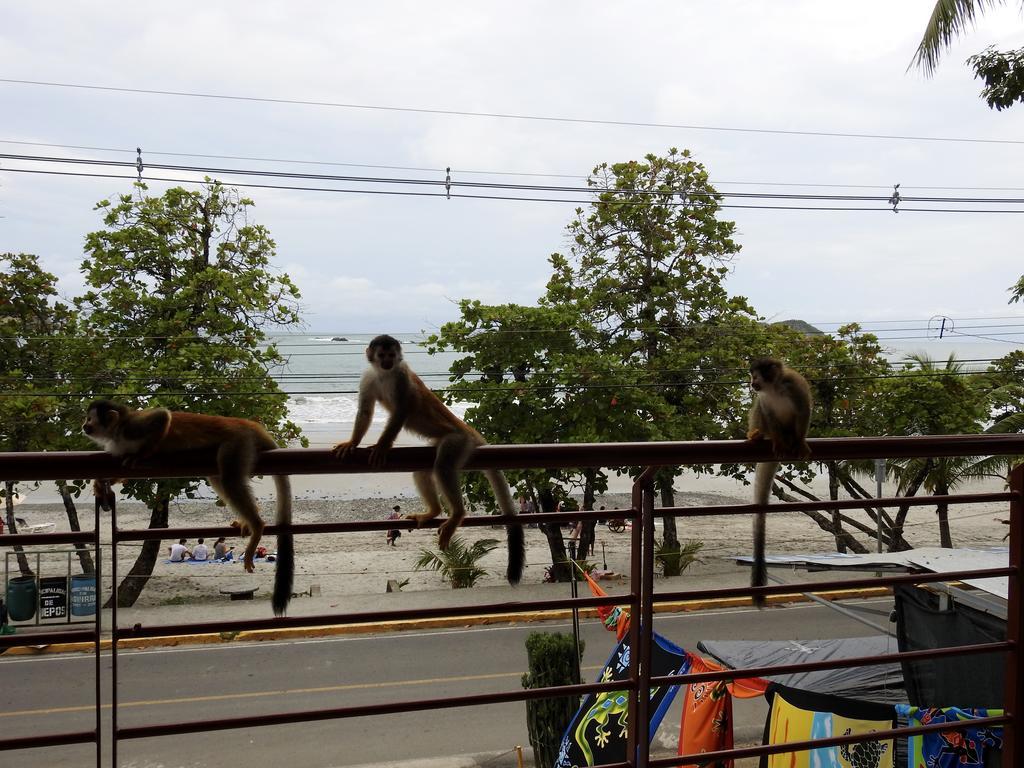 The Elephant Castle Beach Front Penthouse Vườn quốc gia Vườn quốc gia Manuel Antonio Ngoại thất bức ảnh