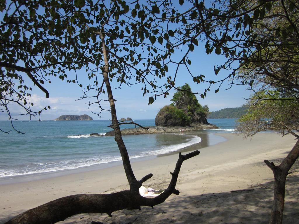 The Elephant Castle Beach Front Penthouse Vườn quốc gia Vườn quốc gia Manuel Antonio Ngoại thất bức ảnh